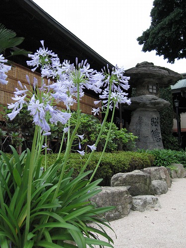 櫛田神社20