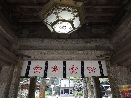 櫻井神社5