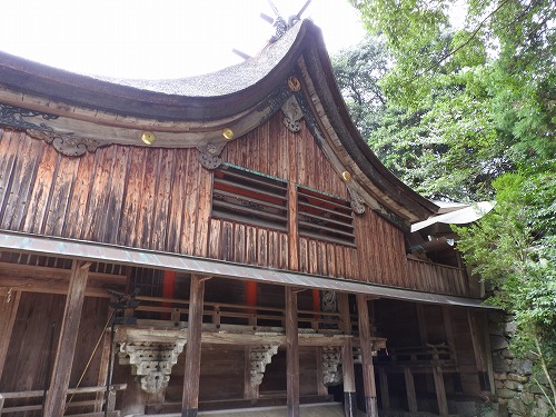 櫻井神社8