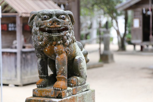 櫻井神社15