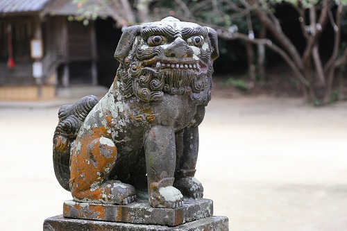 櫻井神社16