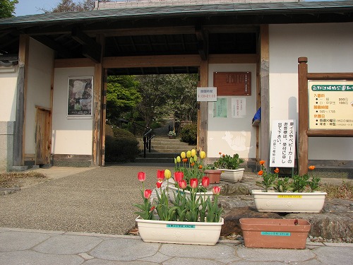 白野江植物公園5