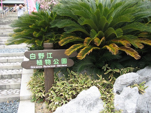 白野江植物公園16