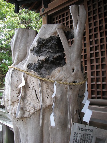 須賀神社17