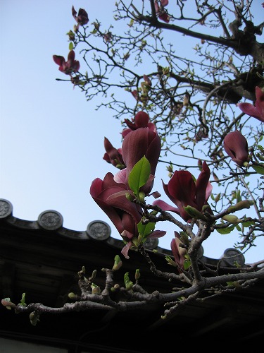 熊本城稲荷神社10