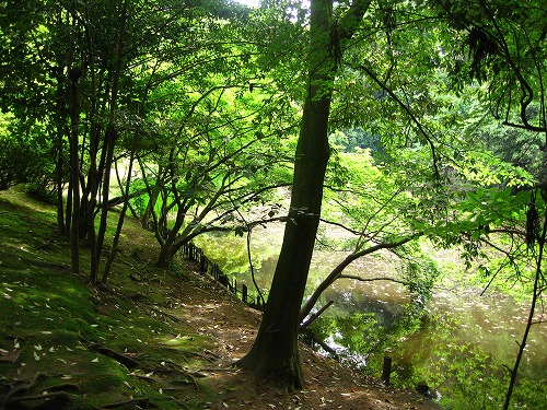 立田自然公園5