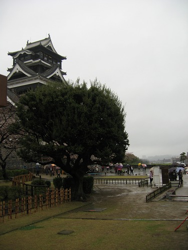 雨の熊本城5