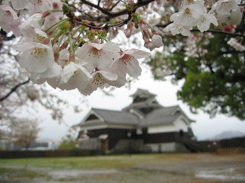 雨の熊本城12