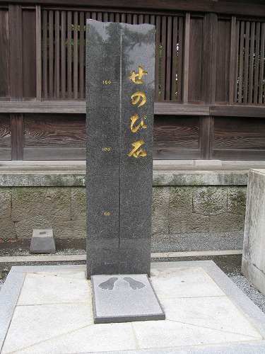 阿蘇神社23