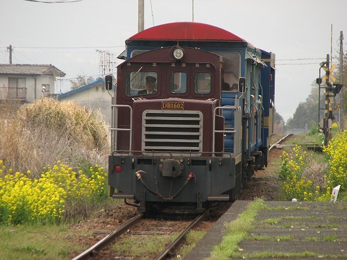 トロッコ列車1