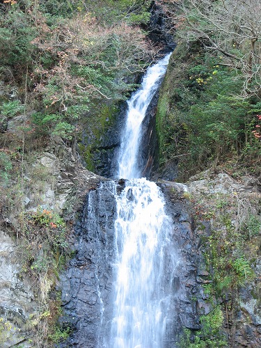 金龍の滝3