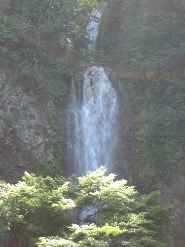金龍の滝7