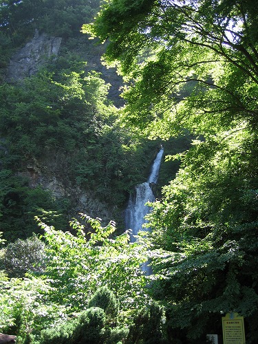金龍の滝8