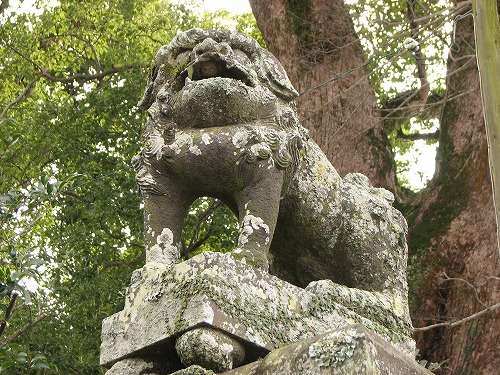 松尾神社15