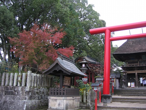 青井阿蘇神社32