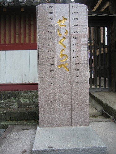 青井阿蘇神社4