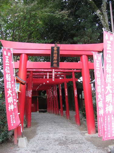青井阿蘇神社1