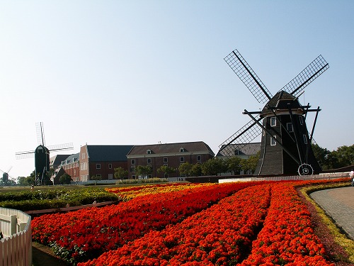 オランダ風車5