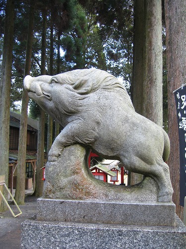 和気神社の猪7
