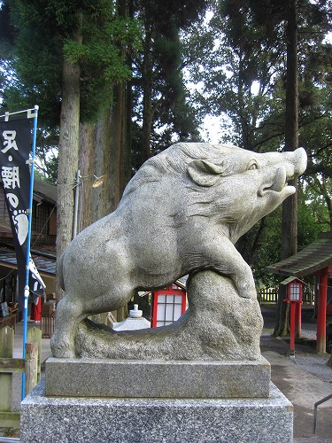 和気神社の猪8