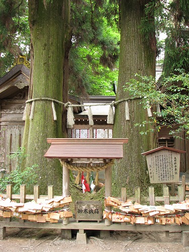 高千穂神社3