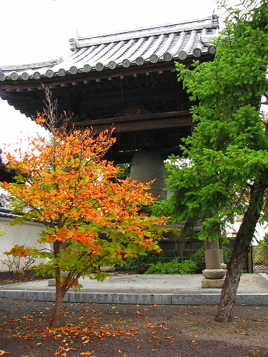 円応寺4