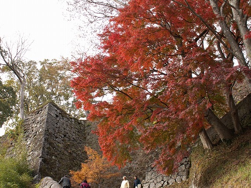 秋の岡城11