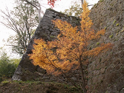 秋の岡城15