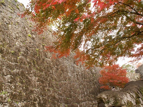 秋の岡城16