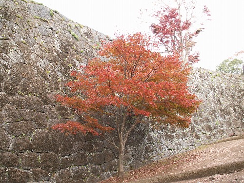 秋の岡城17