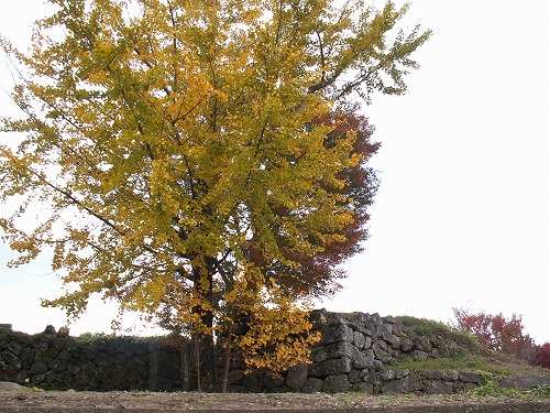 秋の岡城31