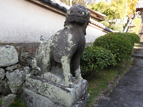 胎蔵寺の狛犬7