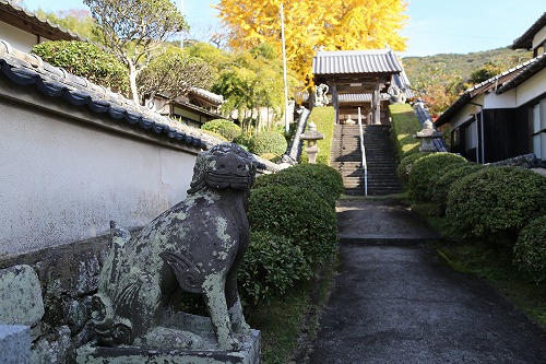 胎蔵寺の狛犬3