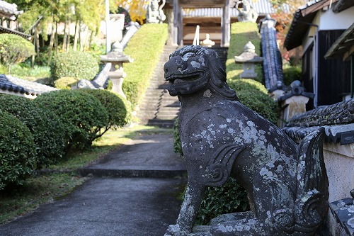 胎蔵寺の狛犬2