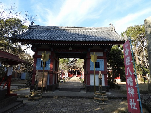 桜八幡神社6