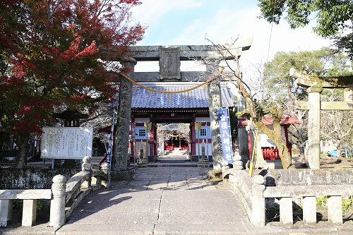 桜八幡神社1