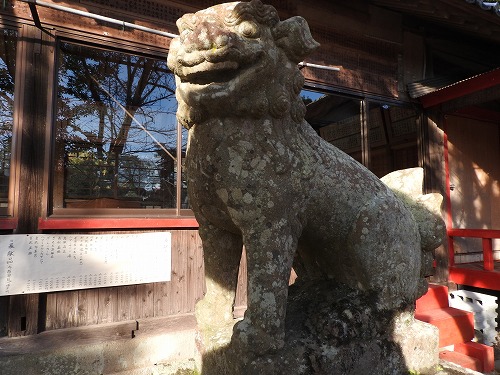 桜八幡神社の狛犬3