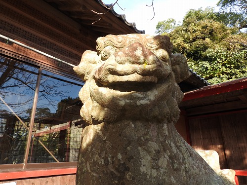 桜八幡神社の狛犬5
