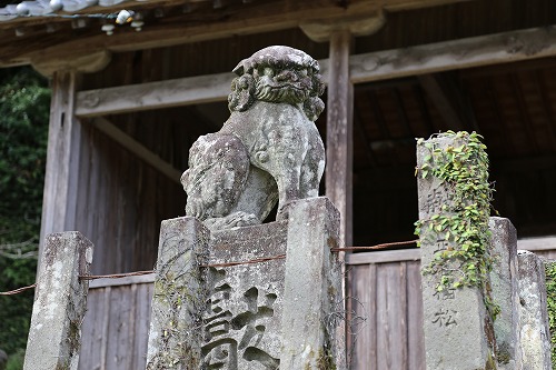 身濯神社の狛犬9