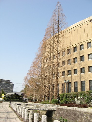 佐賀県庁4