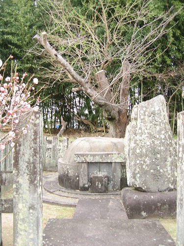 高伝寺墓所10