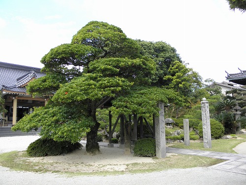 近松寺4