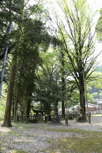 淀姫神社24
