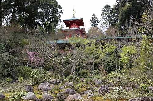 高野寺庭園1