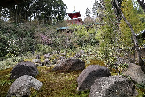高野寺庭園2