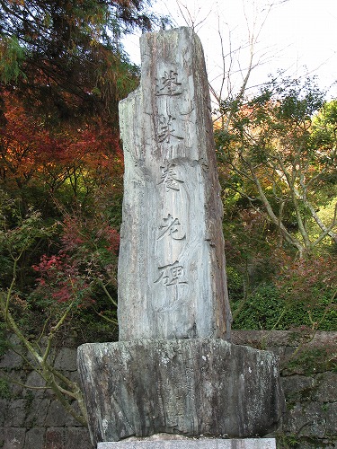 桜山公園9