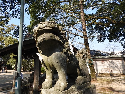 豊玉姫神社7