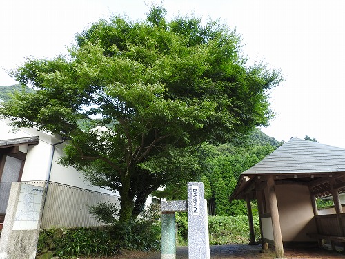 鍋島藩窯公園2