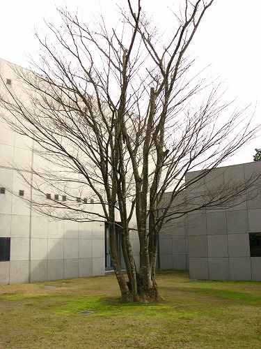 くすり博物館11