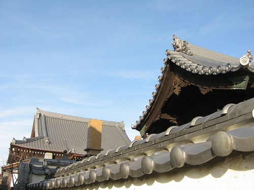円福寺8